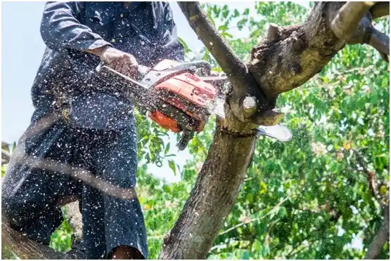 tree services Goldsby